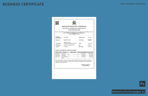 Vorläufige Gewerbelizenz aus Bhubaneswar, Indien (Word- und PDF-Beispiel)